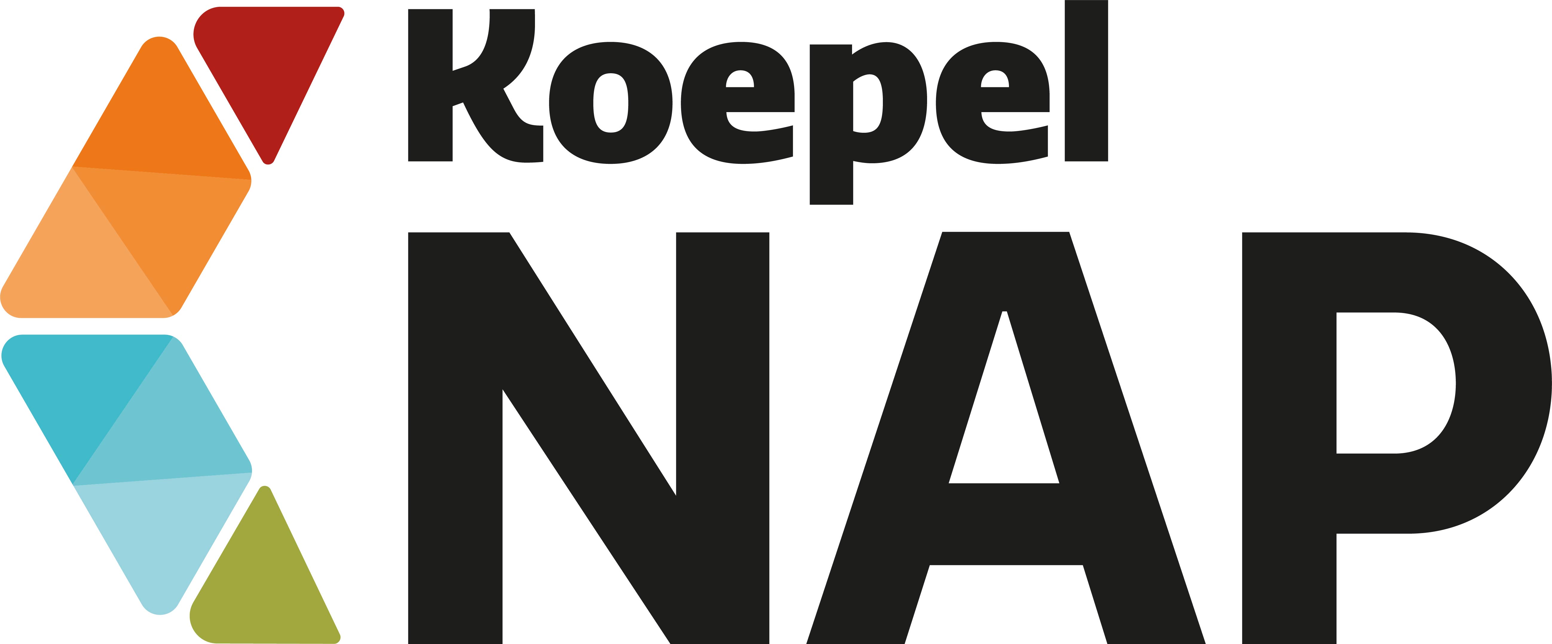 KoepelNAP Logo RGB